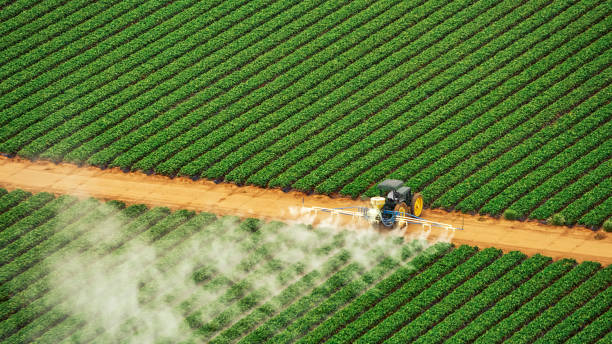 Reliable Kerman, CA Pest Control Solutions